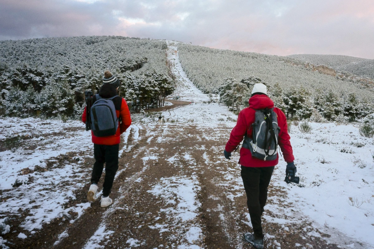 Couch to 2 Mile Hike Workout